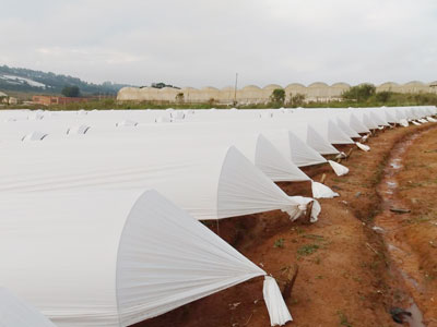 Filmes Túneis Baixos