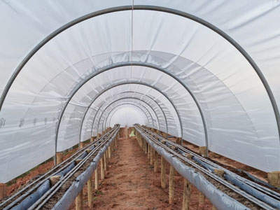 Filmes Convencionais